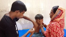 বিশ ঘণ্টায় এক উপজেলায় কুকুরের কামড়ে আহত ২৪, নেই টিকা