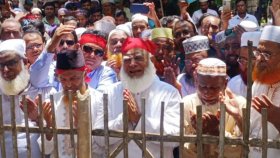 আবু সাঈদের কবর জিয়ারত করলেন জামায়াতের আমির