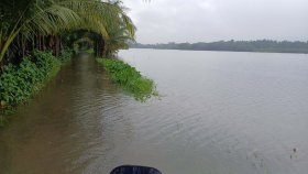 লক্ষ্মীপুরে ভেসে গেছে ৪৫ হাজার পুকুরের মাছ