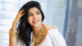 দেশ ডেকেছে, মানা করতে পারিনি: নওশাবা