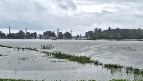 টানা বৃষ্টি ও বেড়িবাঁধে ভাঙন: সাতক্ষীরায় মৎস্য-কৃষিতে ক্ষতি ৭০০ কোটি