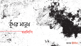 ধূসর মানুষ
