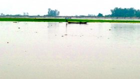 বগুড়ার সারিয়াকান্দিতে যমুনায় পানি বৃদ্ধি, ফসলের ক্ষতির আশঙ্কা