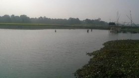 বিলে গোসলে নেমে দুই বোনের মৃত্যু
