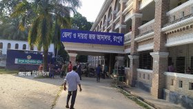 চাচা-ভাতিজাকে কুপিয়ে হত্যায় দুই ভাইয়ের মৃত্যুদণ্ড