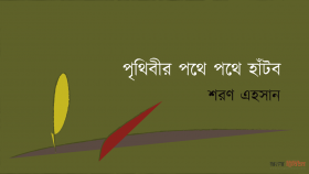 পৃথিবীর পথে পথে হাঁটব