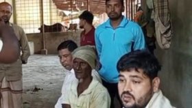 চট্টগ্রামে অস্ত্রের মুখে জিম্মি করে খামার থেকে ২১টি গরু লুট