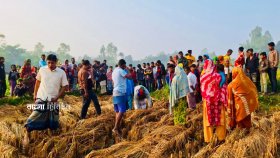 ধানক্ষেতে হাত বাঁধা অবস্থায় পড়ে ছিল সাঁওতাল নারীর লাশ
