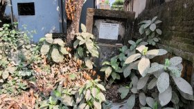 অযত্ন-অবহেলায় পড়ে আছে ময়মনসিংহের ৩০টি বধ্যভূমি-গণকবর