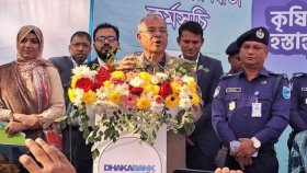 তেল মারা বন্ধ করেন, ভবিষ্যতে কে আসবে পরে দেখা যাবে: স্বরাষ্ট্র উপদেষ্টা