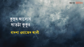 কুসুম আলোয় সাতটা কুকুর