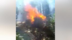 সিংড়া জাতীয় উদ্যানে আগুন, পুড়েছে বেতবাগান