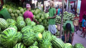 তরমুজের বাম্পার ফলন, কৃষকের মুখে হাসি