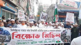 গাজায় গণহত্যা বন্ধে আন্তর্জাতিক সংস্থাগুলো ব্যর্থ: সাইফুদ্দীন মাইজভাণ্ডারী