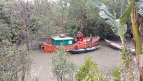 সুন্দরবনে আগুন