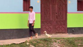 হাঁসে-মানুষে বিরল বন্ধুত্ব