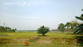 ভারত সীমান্তে ঢুকে সেলফি তোলা দুই বাংলাদেশিকে ধরে নিয়ে গেছে বিএসএফ