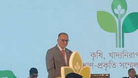 আগে সরকার ব্যয়ের মহোৎসব করেছে: বাণিজ্য উপদেষ্টা