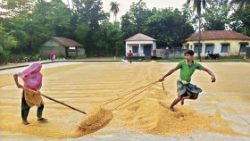 খাদ্যগুদামে চাল সরবরাহ না করায় রাজশাহী বিভাগে ৬১টি চালকলের লাইসেন্স বাতিল