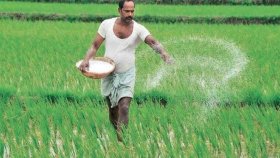 আমন মৌসুমে ইউরিয়া সরবরাহ ব্যাহতের শঙ্কা!