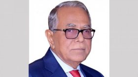 আবদুল হামিদের দেশত্যাগ, তদন্তে কমিটি