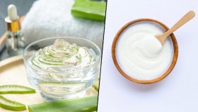 চুল চকচকে করবে অ্যালোভেরার এই প্যাক