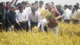 ভীতির কোনও কারণ নাই, আমাদের সীমান্ত সম্পূর্ণ নিরাপদ: স্বরাষ্ট্র উপদেষ্টা