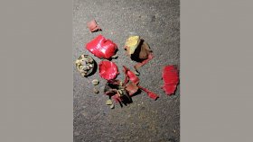 চলন্ত মোটরসাইকেলে ককটেল নিক্ষেপ, দুই ভাই আহত