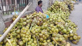 তালের শাঁস খেলে এত উপকার পাওয়া যায় জানতেন?