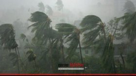 কালবৈশাখী ঝড়ে গাছ পড়ে দুই জনের মৃত্যু 