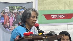 নিরাপত্তা দিতে না পারলে নারীর বিকাশ ঘটবে না: শারমীন মুরশিদ
