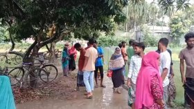 বিদ্যুৎস্পৃষ্ট হয়ে মা-ছেলের মৃত্যু
