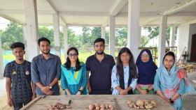 ক্যানসার ও ডায়াবেটিস প্রতিরোধক আলুর তিনটি জাত উদ্ভাবন