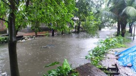 অবিরাম বৃষ্টিতে তলিয়েছে রংপুর নগরীর ২০টি মহল্লা