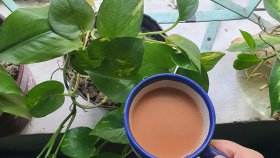 কয়েক ধাপে পারফেক্ট স্বাদের চা বানাবেন যেভাবে