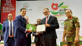 চা রফতানি বাড়াতে কাজ করছে সরকার: বাণিজ্য উপদেষ্টা