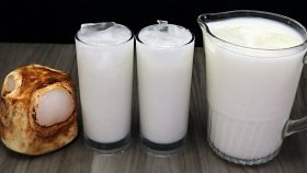 পুরান ঢাকার রেসিপিতে তালের শাঁসের শরবত