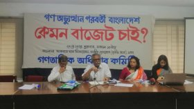 সরকার জাতীয় সক্ষমতা না বাড়িয়ে বিকল্প খুঁজছে: আনু মুহাম্মদ