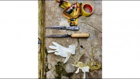 পানি চাওয়ার অজুহাতে স্বর্ণালংকার লুটের চেষ্টা, হাতেনাতে আটক ২