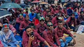 তৃতীয় দিনের মতো শহীদ মিনারে পল্লী বিদ্যুৎ কর্মচারীদের অবস্থান