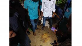 যাত্রাবাড়ীতে ককটেল বিস্ফোরণে ৪ জন আহত