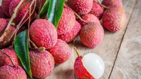 লিচুর বিচি গলায় আটকে শিশুর মৃত্যু