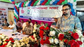 নির্বাচনের কথা শুনলে কিছু উপদেষ্টা ভয় পান: আমিনুল হক