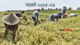 আইএমএফ অসন্তুষ্ট হলেও কৃষিতে ভর্তুকি কমবে না