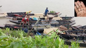 হালদা নদীতে ডিম ছেড়েছে মা মাছ