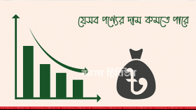 কমতে পারে যেসব পণ্যের দাম
