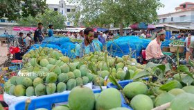রাজশাহীতে এবার আমের দাম কম, ক্রেতা নেই