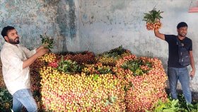 দিনাজপুরের লিচুর বাজার: দাম কম, তারপরও লাভ হবে গতবারের চেয়ে বেশি