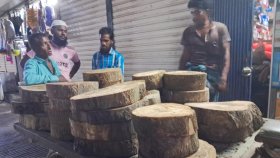 বিমানযোগে ঢাকায় এলো কসাই দল
