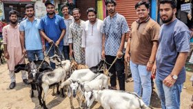 কোরবানির পশু উপহার পেলো নারায়ণগঞ্জের ২১ শহীদ পরিবার